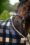 Derka-polarowa-Eskadron-Classic-Sports-Fleece-Check-SS2026-navy-sierra-orchid-24h-04