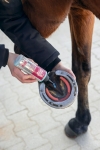 Preparat-na-gnijace-strzalki-MagicBrush-HoofGel-Pro-200ml-02