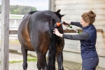 Kapiel-solankowa-dla-koni-MagicBrush-Salt-Shower-zestaw-startowy-7