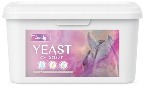 drozdze-BIOFEED-Horse-Pony-Candy-Yeast-Co-Active-1-8-kg-1
