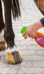 Suchy-szampon-Equinatura-Express-Coat-Cleaner-500ml-02