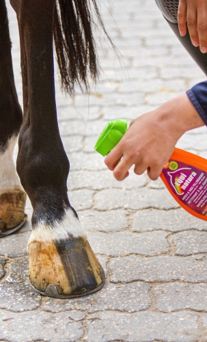 Suchy-szampon-Equinatura-Express-Coat-Cleaner-500ml-02