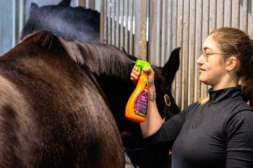 Equinatura-Detangler-and-shine-spray-2