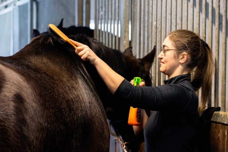 Equinatura-Detangler-and-shine-spray-3