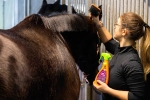 Equinatura-Detangler-and-shine-spray-4