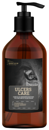 polSuplement-dla-koni-wrzodowych-BIOFEED-Horse-Pony-Ulcers-Care.png