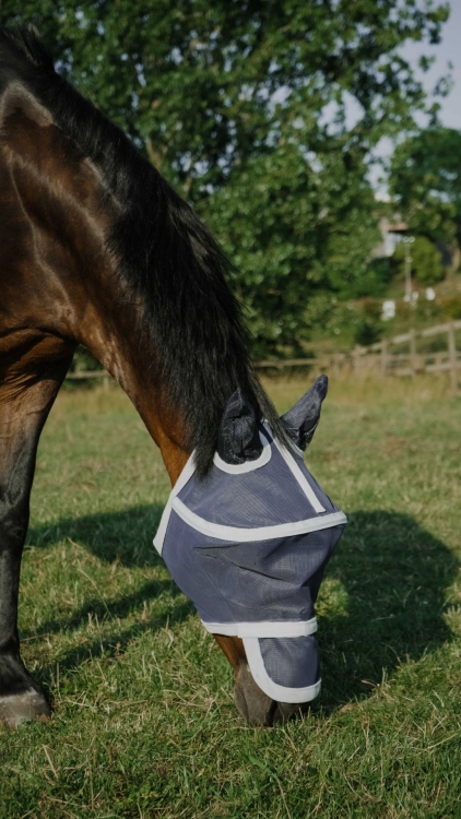 Maska przeciw owadom EquiTheme Cerceau.jpg