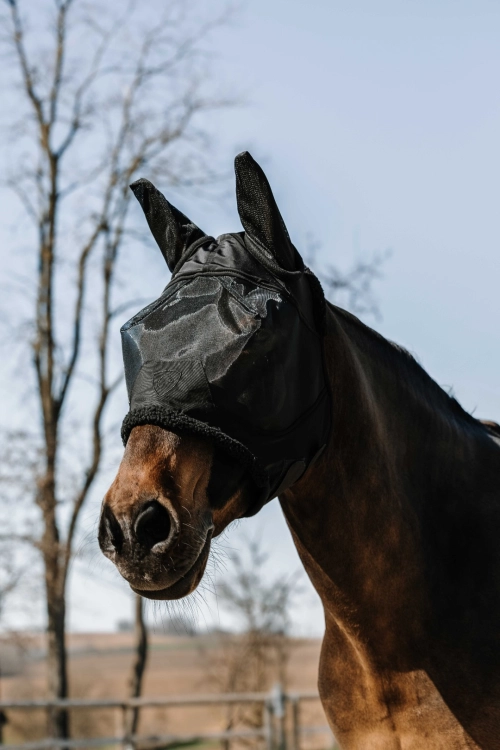 Maska-przeciw-owadom-EquiTheme-Teddy-4