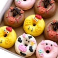 donat-konska-cukierenka-farma-swinka2