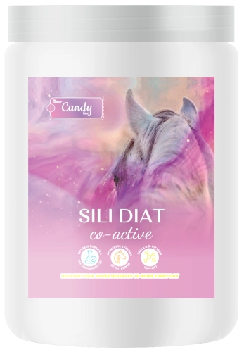 BIOFEED-Horse-Pony-Sili-Diat-Co-Active-600-g-1.png