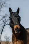 Maska-przeciw-owadom-do-jazdy-EquiTheme-Anatomic-03