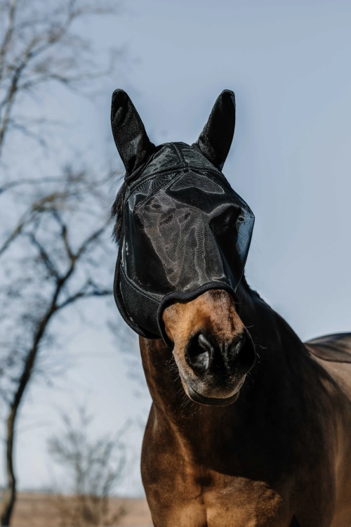 Maska-przeciw-owadom-do-jazdy-EquiTheme-Anatomic-03