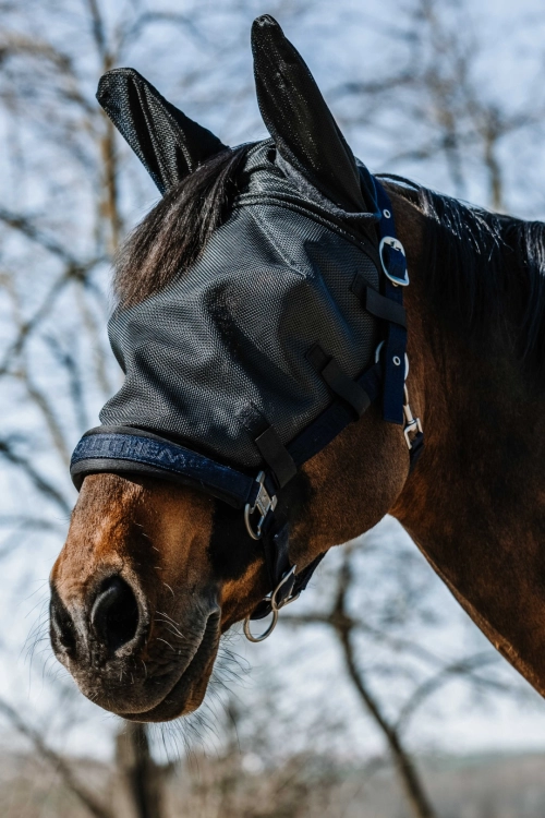 Maska-przeciw-owadom-EquiTheme-Halter-3
