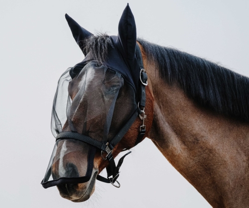 Kantar-z-maska-EquiTheme-Halter-Anti-UV-Mask-1