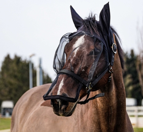 Kantar-z-maska-EquiTheme-Halter-Anti-UV-Mask-2