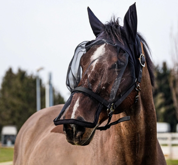 Kantar-z-maska-EquiTheme-Halter-Anti-UV-Mask-2