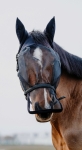 Kantar-z-maska-EquiTheme-Halter-Anti-UV-Mask-5