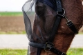 Kantar-z-maska-EquiTheme-Halter-Anti-UV-Mask-6