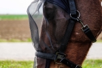 Kantar-z-maska-EquiTheme-Halter-Anti-UV-Mask-6