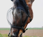 Kantar-z-maska-EquiTheme-Halter-Anti-UV-Mask-7