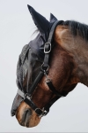 Kantar-z-maska-EquiTheme-Halter-Mask