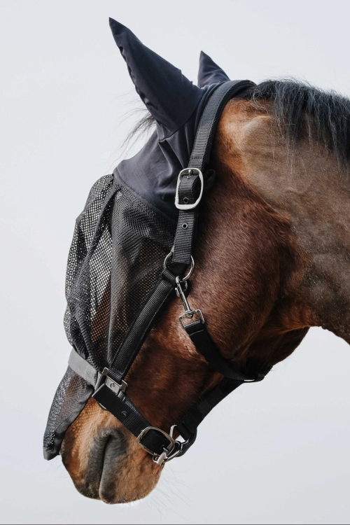 Kantar-z-maska-EquiTheme-Halter-Mask