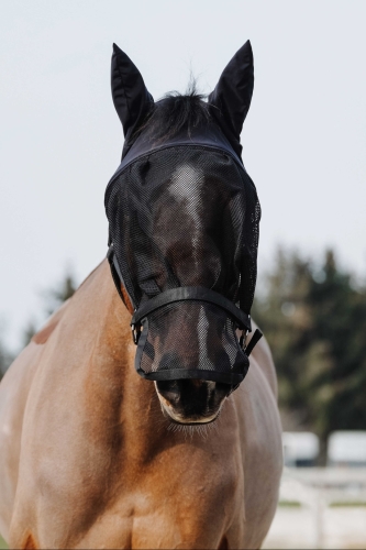 Kantar-z-maska-EquiTheme-Halter-Mask