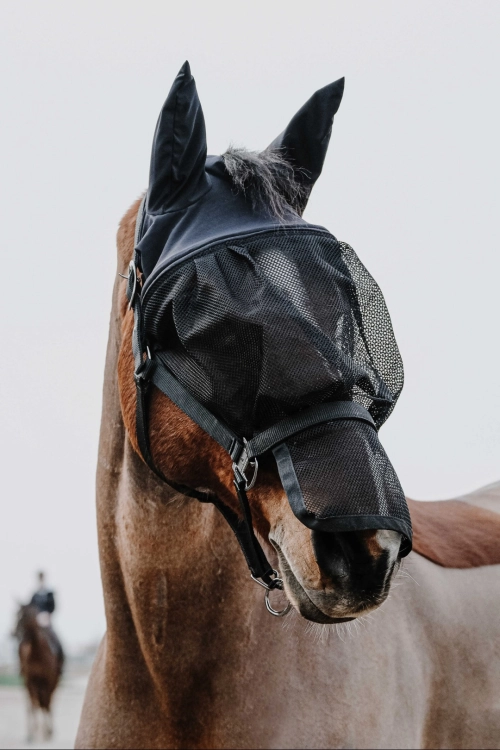 Kantar-z-maska-EquiTheme-Halter-Mask