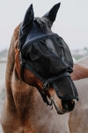 Kantar-z-maska-EquiTheme-Halter-Mask