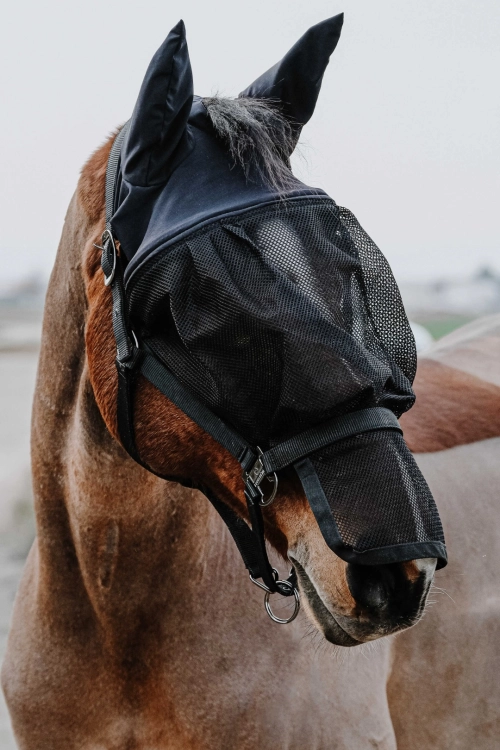 Kantar-z-maska-EquiTheme-Halter-Mask
