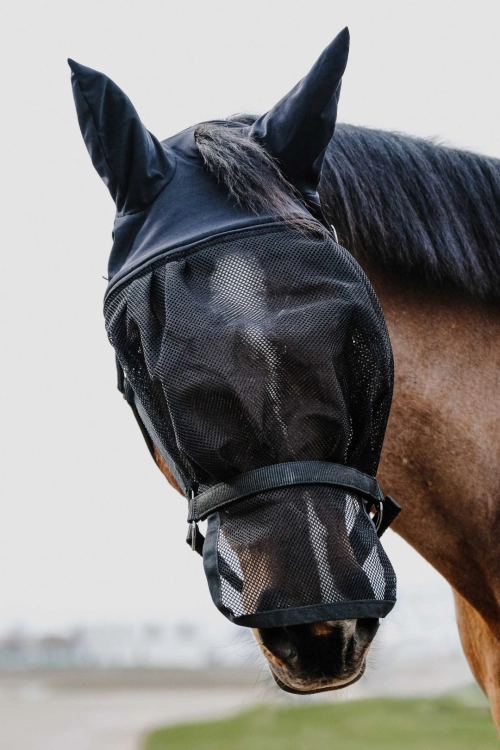 Kantar-z-maska-EquiTheme-Halter-Mask