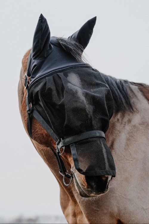 Kantar-z-maska-EquiTheme-Halter-Mask