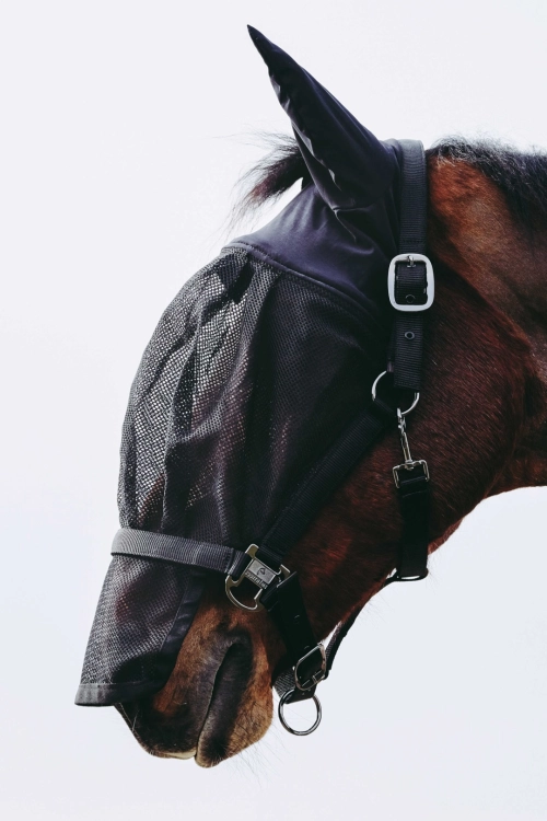 Kantar-z-maska-EquiTheme-Halter-Mask