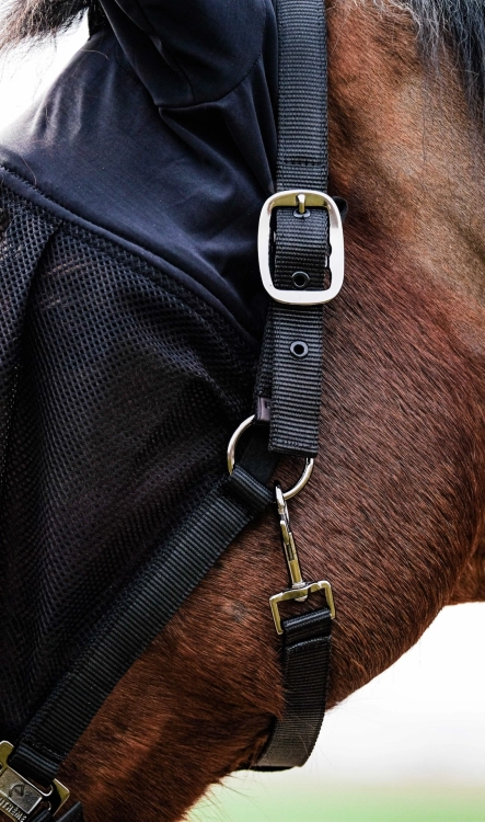 Kantar-z-maska-EquiTheme-Halter-Mask