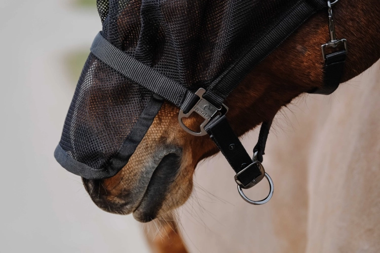 Kantar-z-maska-EquiTheme-Halter-Mask