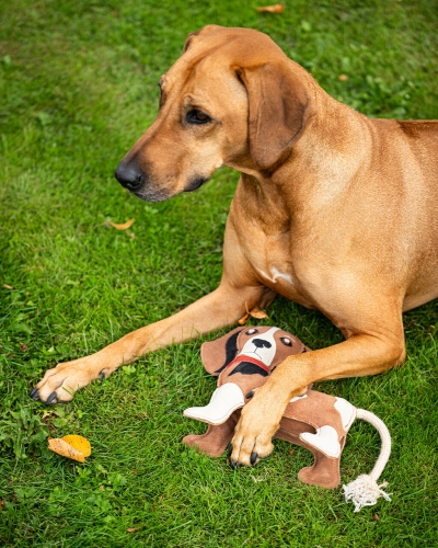 Zabawka-dla-konia-QHP-Stable-Buddy-Beagle-2