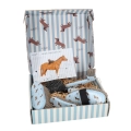 Zestaw-szczotek-do-pielegnacji-konia-QHP-Dachshund-Jamniki-01