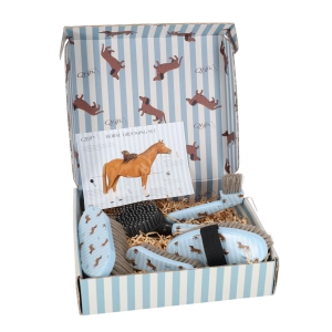 Zestaw szczotek do pielęgnacji konia QHP "Dachshund Jamniki" 24h