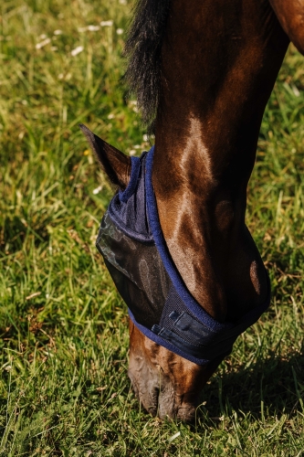Maska przeciw owadom Riding World First without ears