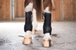Ochraniacze-chlodzace-HKM-Equine-Care-Pro-07