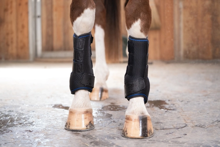Ochraniacze-chlodzace-HKM-Equine-Care-Pro-07