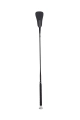 bat-horze-nicolet-1.webp