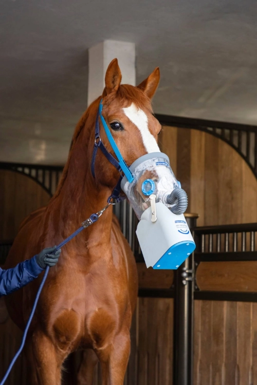 Inhalator ultradźwiękowy dla konia HIPPOMED AirOne Flex z maską bezprzewodowy COB/FULL