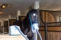 Inhalator-ultradzwiekowy-HIPPOMED-AirOne-z-maska-sieciowy-COB-FULL-06