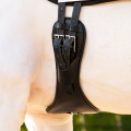Popreg-ujezdzeniowy-PresTeq-PerformFree-18