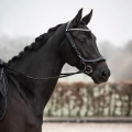 Oglowie-anatomiczne-PresTeq-FaySport-Shine-czarne-16