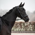 Oglowie-anatomiczne-PresTeq-FaySport-Shine-czarne-16