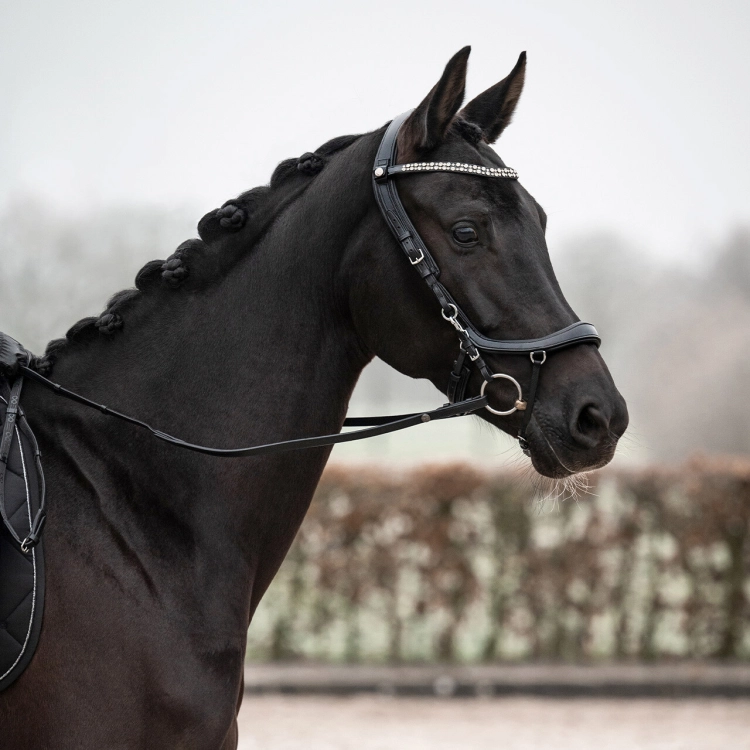 Oglowie-anatomiczne-PresTeq-FaySport-Shine-czarne-16