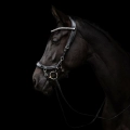 Oglowie-anatomiczne-PresTeq-FaySport-Shine-czarne-19