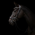 Oglowie-anatomiczne-PresTeq-FaySport-Shine-czarne-19